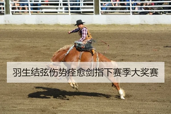 羽生结弦伤势痊愈剑指下赛季大奖赛